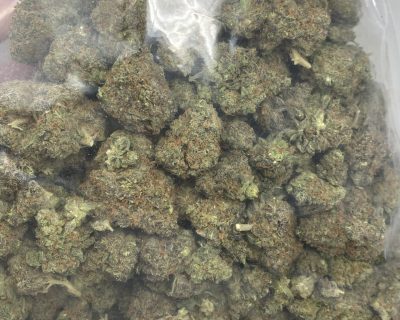 SUNSHINE HAZE ($79.99 OZ) (SATIVA) - Image 2